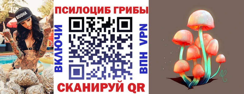 Псилоцибиновые грибы ЛСД  мега ONION  Новомичуринск 