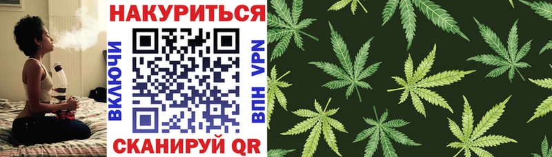 закладки  Новомичуринск  МАРИХУАНА тримм 
